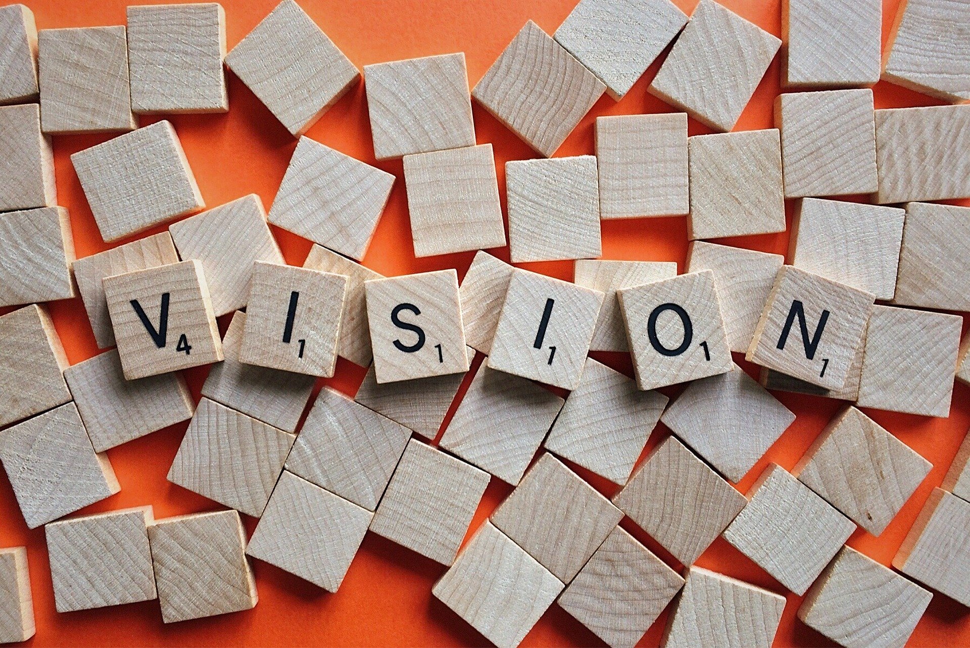 website vision